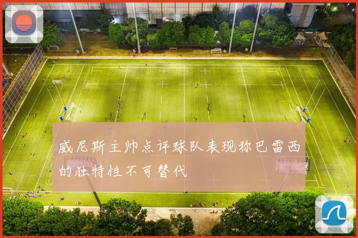 威尼斯主帅点评球队表现称巴雷西的独特性不可替代