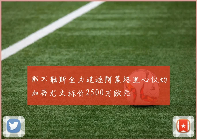 那不勒斯全力追逐阿莱格里心仪的加蒂尤文标价2500万欧元